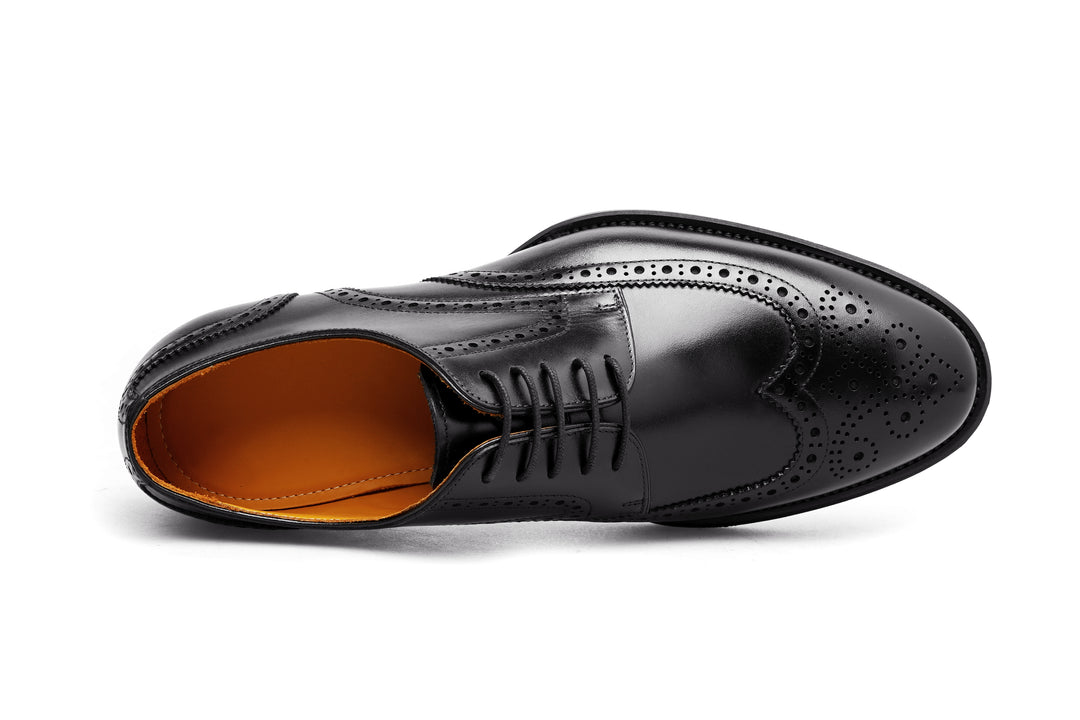 Camden Wingtip Derby
